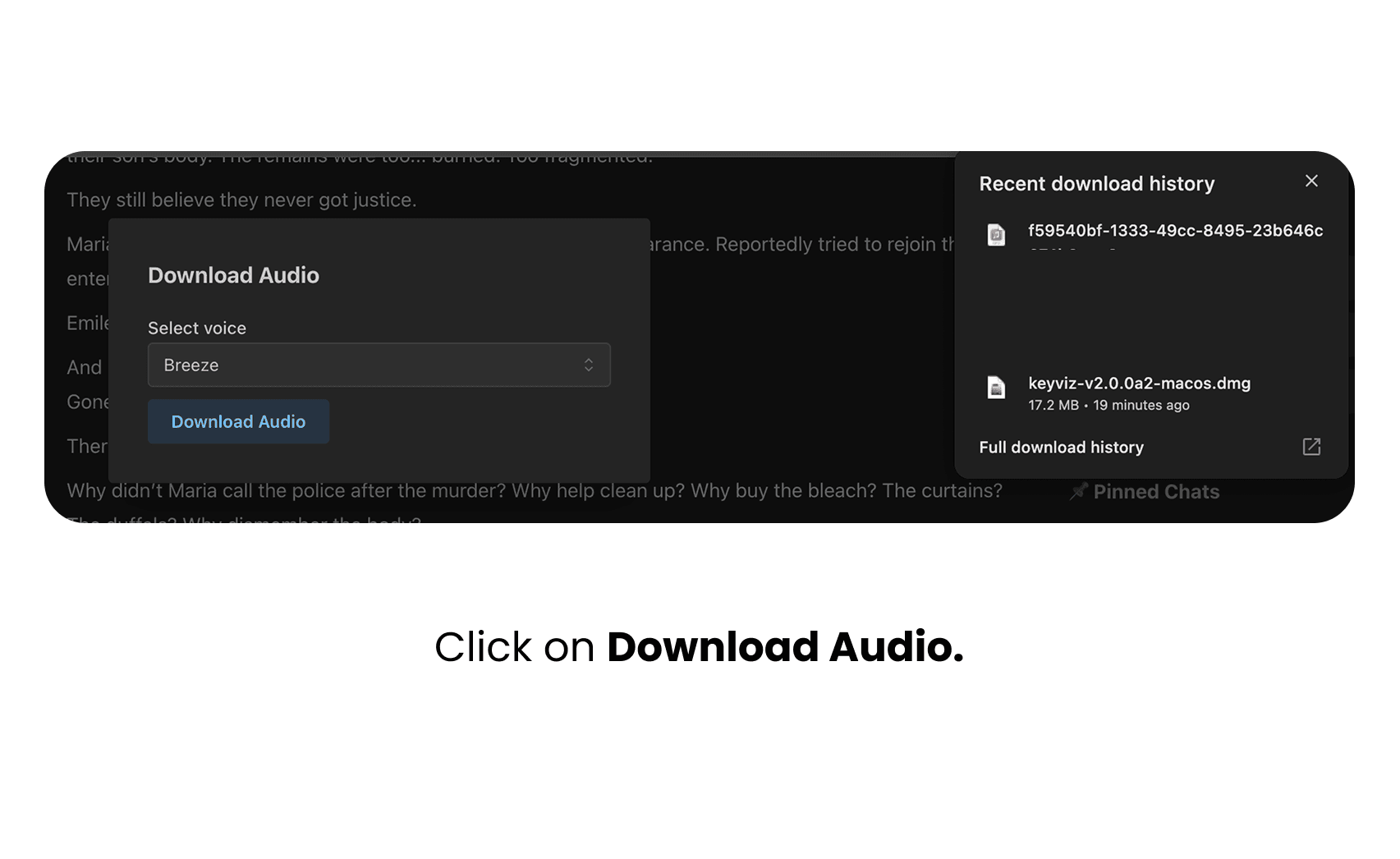 Download Audio